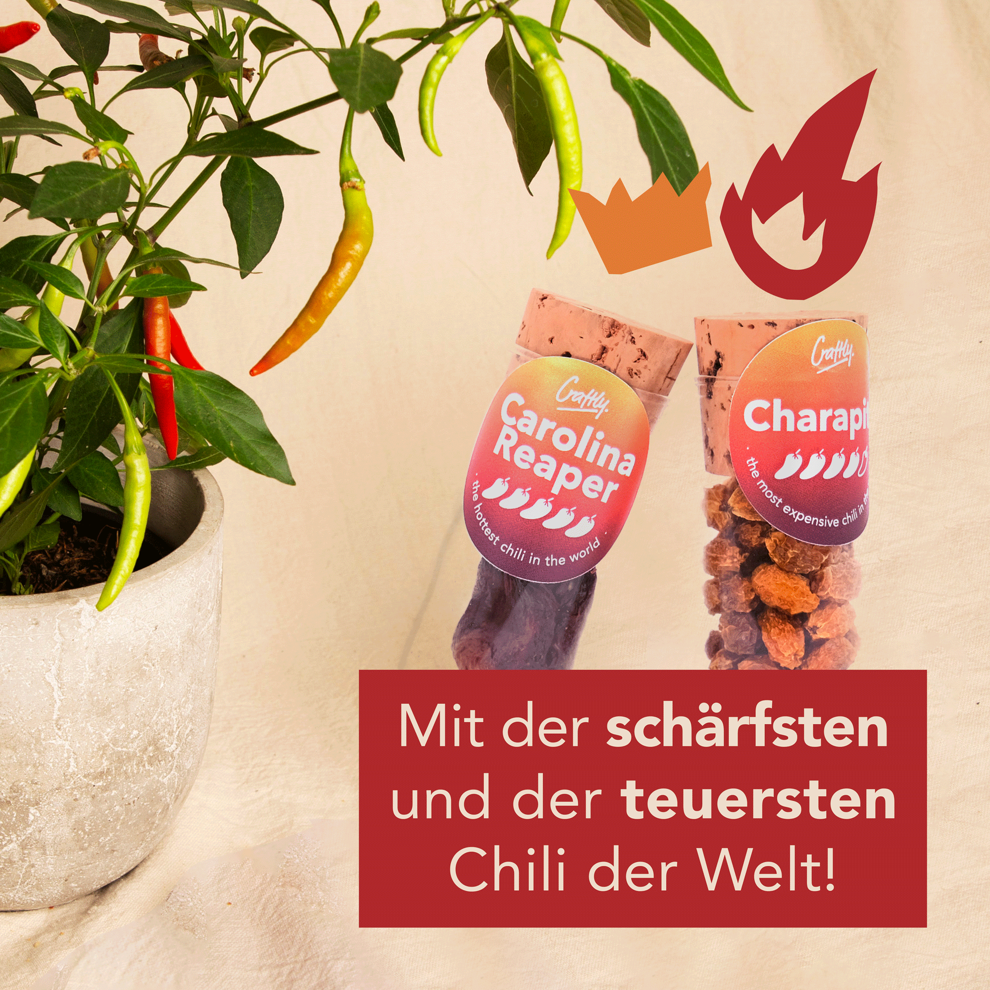 Craftly DO YOUR HOT SAUCE – Kreiere deine eigenen Hot Sauces mit 5 Premium-Chilis und aromatischen Gewürzmischungen