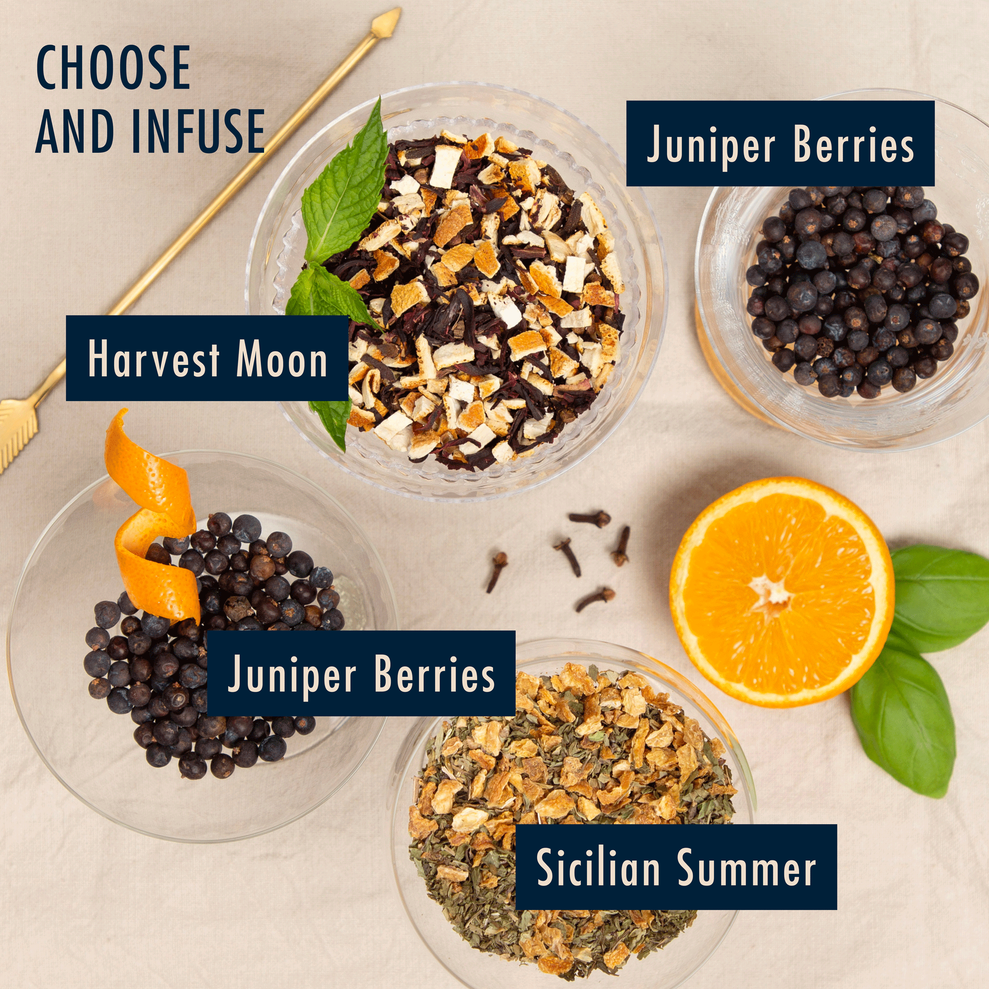 Gin Cocktail Infusion Kit