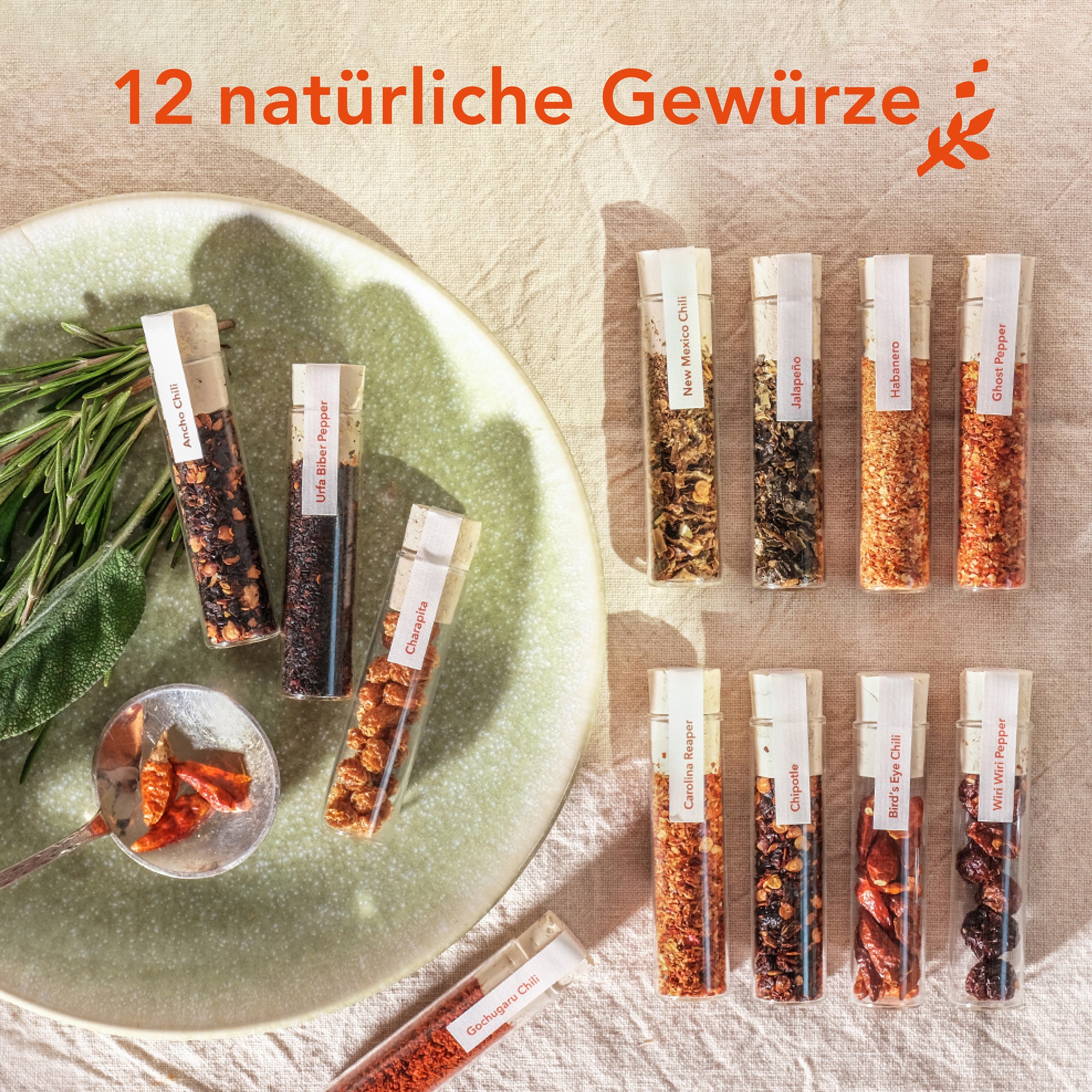 Craftly Chili-Gewürzbox – 12 Exklusive Chilisorten aus aller Welt, Scharfes Geschenk für Feinschmecker und Hobbyköche